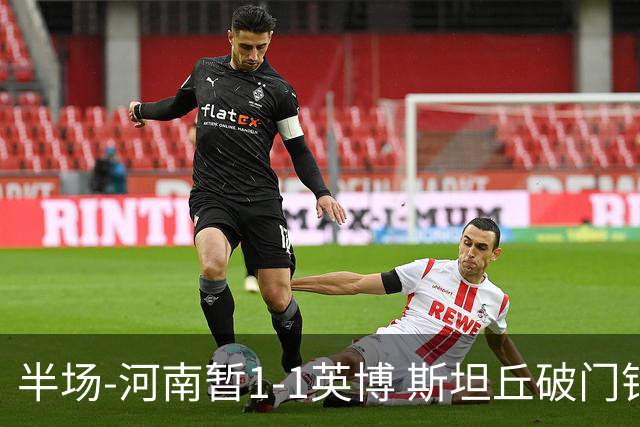 半场-河南暂1-1英博 斯坦丘破门钟义浩扳平纳萨里奥助攻