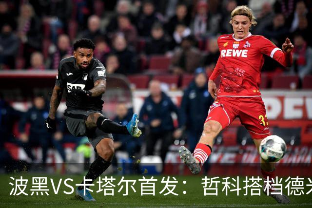 波黑VS卡塔尔首发：哲科搭档德米罗维奇 科拉希纳茨出战