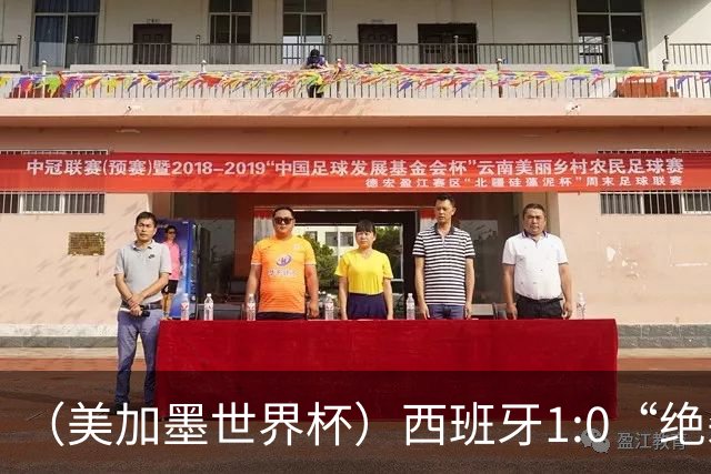 （美加墨世界杯）西班牙1:0“绝杀”葡萄牙 C罗结束世界杯征程